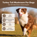 turkey-tail-mushroom-for-dogs-cats-organ-3.jpg
