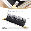 lashview-eyelash-extensions-individual-l-6.jpg
