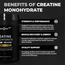 creatine-monohydrate-powder-500g-and-col-4.jpg