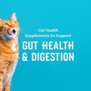 vetiq-cat-probiotics-supplement-probioti-2.jpg