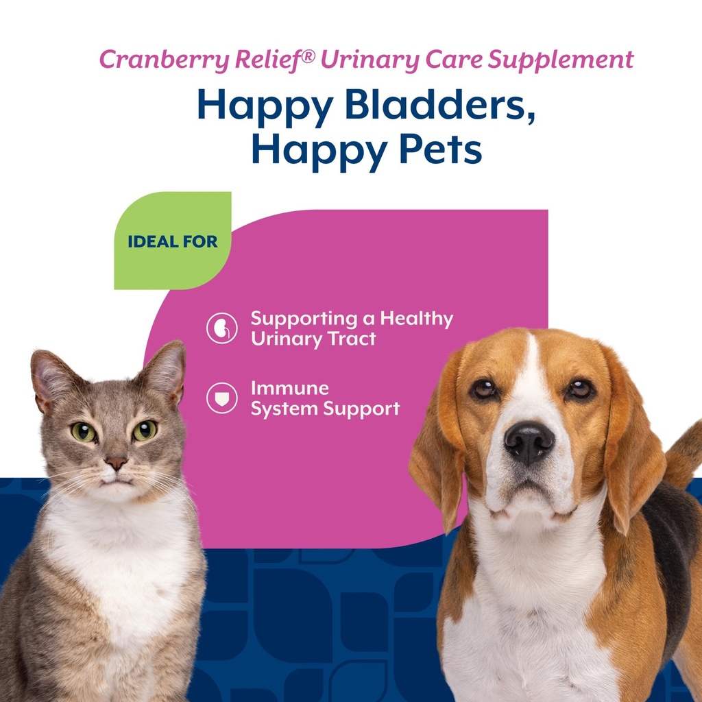 naturvet-cranberry-relief-plus-echinacea-4.jpg