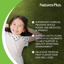 naturesplus-animal-parade-kidgreenz-90-a-4.jpg