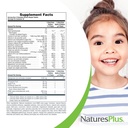 naturesplus-animal-parade-children-s-che-5.jpg