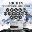 shilajit-tablets-1000-mg-100-himalayan-o-6.jpg