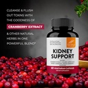 sandhus-kidney-cleanse-detox-repair-supp-4.jpg
