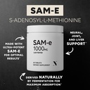sam-e-1000mg-per-tablet-60-servings-of-p-2.jpg