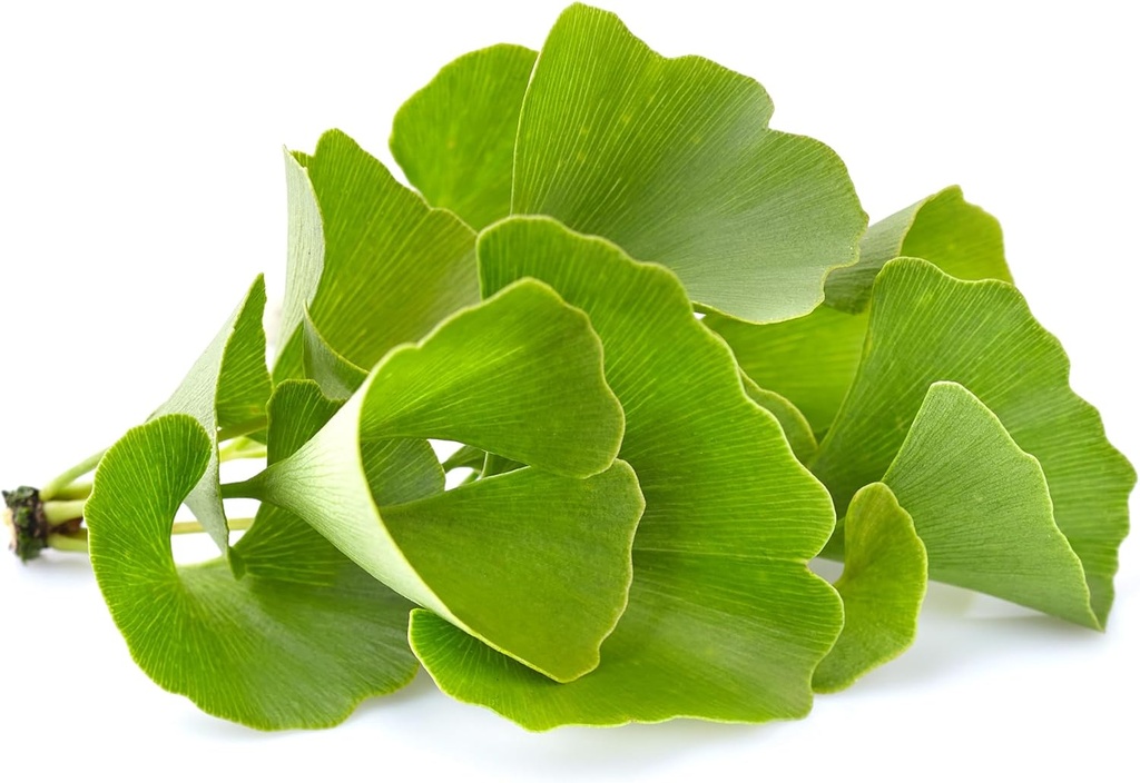 pure-original-ingredients-ginkgo-biloba--4.jpg