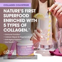 obvi-collagen-peptide-colostrum-powder-m-4.jpg