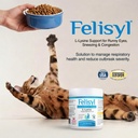 felisyl-l-lysine-granules-for-cats-100g--2.jpg