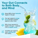 venture-pal-sugar-free-gut-support-elect-5.jpg