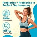 venture-pal-sugar-free-gut-support-elect-4.jpg