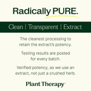 plant-therapy-moringa-herbal-supplement--5.jpg