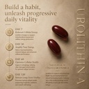 12-in-1-urolithin-a-supplement-with-ubiq-6.jpg