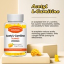 2-pack-acetyl-l-carnitine-gummies-l-carn-4.jpg