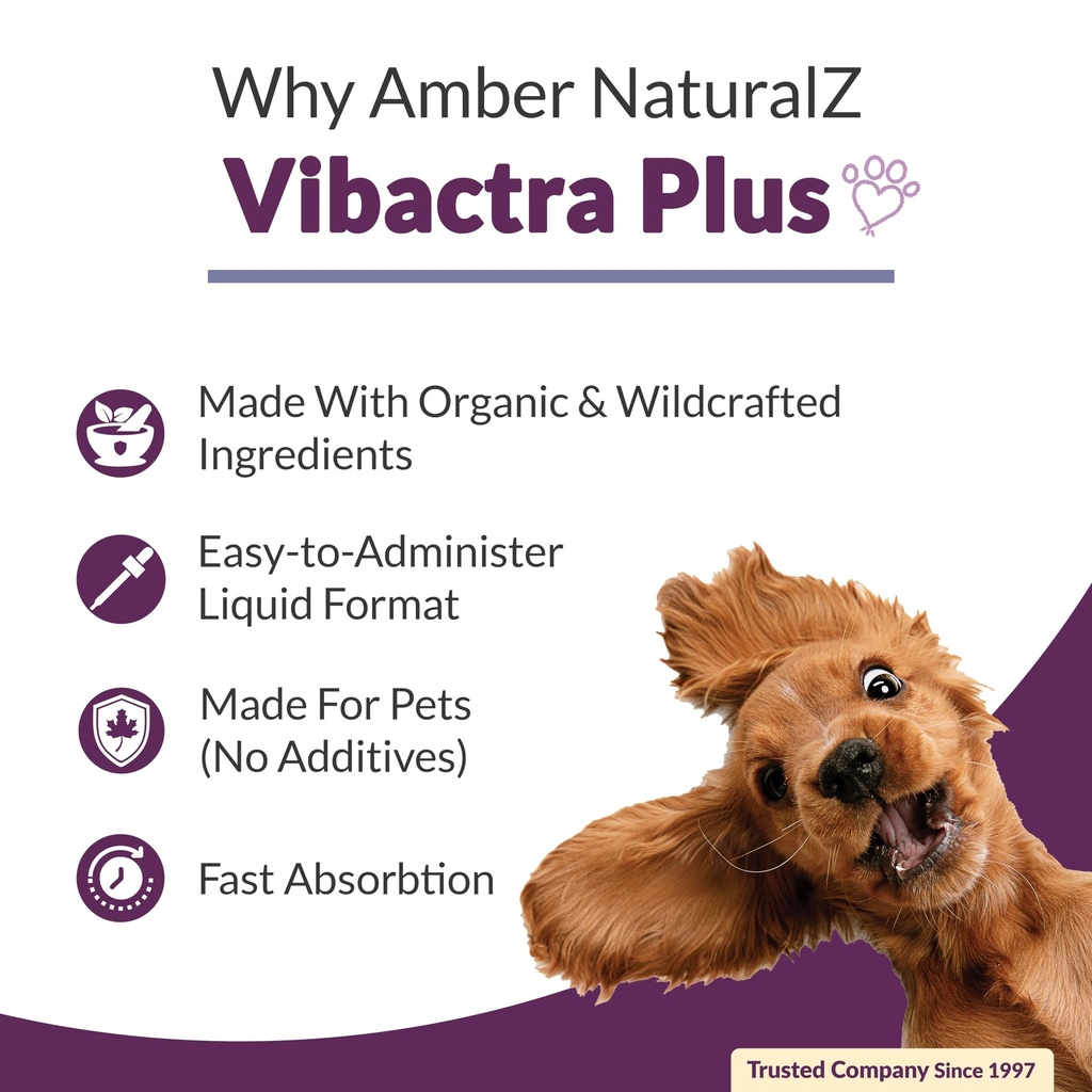 amber-naturalz-vibactra-plus-herbal-supp-3.jpg