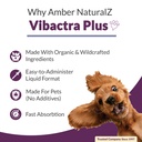 amber-naturalz-vibactra-plus-herbal-supp-3.jpg