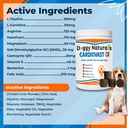 cardiovast-cardio-support-and-cardio-str-2.jpg