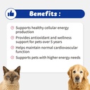 atp-cellvet-endurance-energy-support-for-3.jpg
