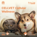atp-cellvet-endurance-energy-support-for-4.jpg