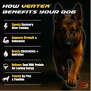 vertex-canine-essentials-high-performanc-2.jpg