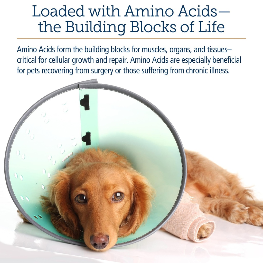 rx-vitamins-amino-b-plex-cat-dog-supplem-5.jpg