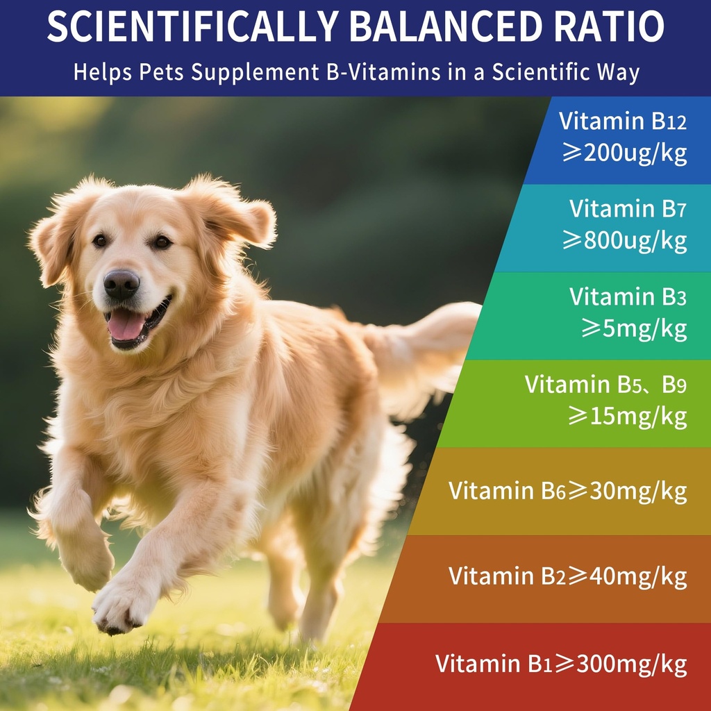 vitamin-b-for-dogs-200-tablets-vitamin-b-5.jpg