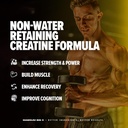 magnum-big-c-creatine-matrix-capsules-cr-6.jpg