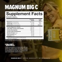 magnum-big-c-creatine-matrix-capsules-cr-4.jpg