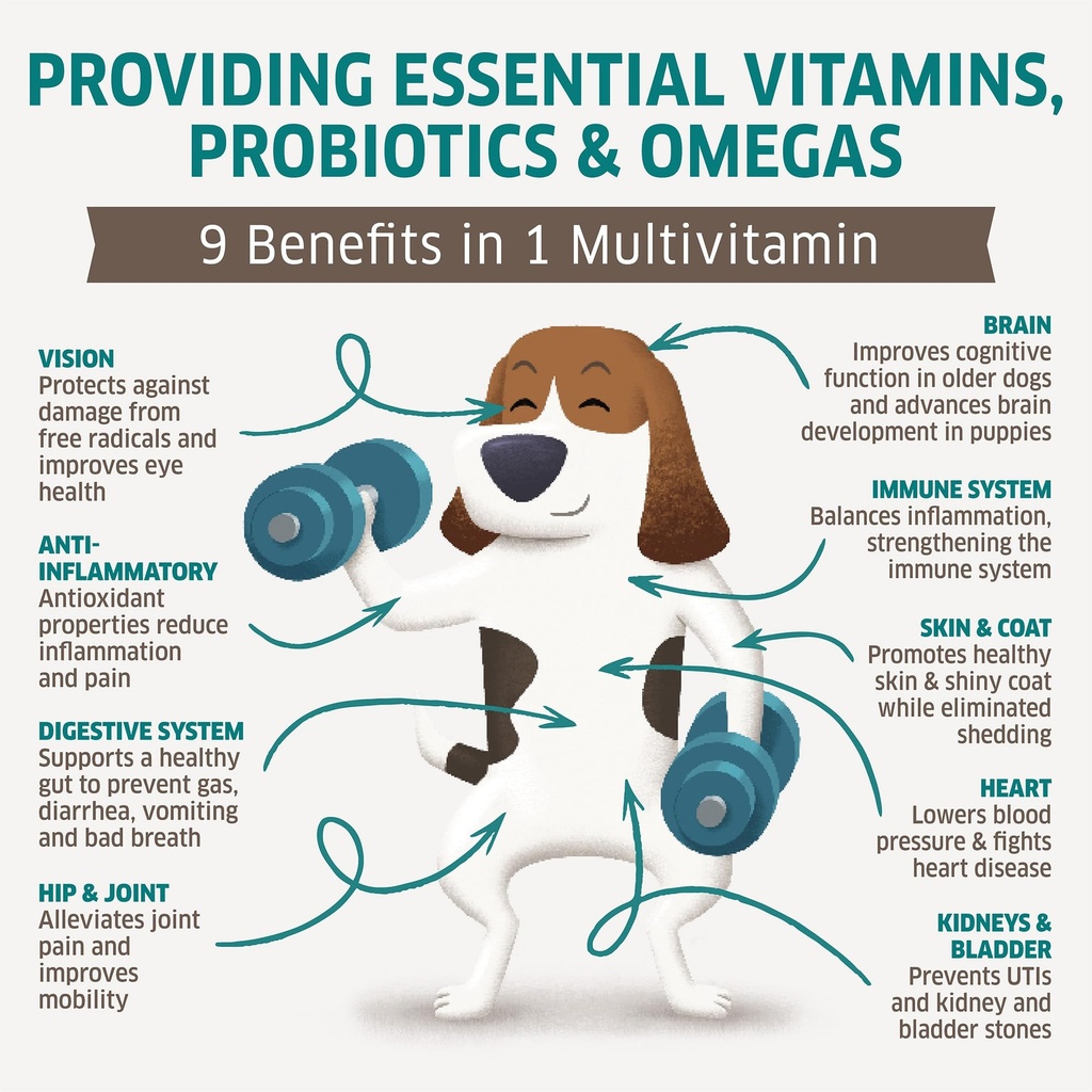 dog-multivitamin-dog-vitamins-and-supple-3.jpg