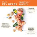 himalaya-jointcare-with-boswellia-joint--3.jpg