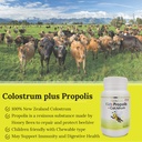 hi-well-premium-kids-propolis-grass-fed--3.jpg