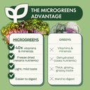 pick-d-powders-microgreens-powder-daily--5.jpg