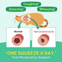 doctor-by-cat-breath-bronchial-supplemen-2.jpg