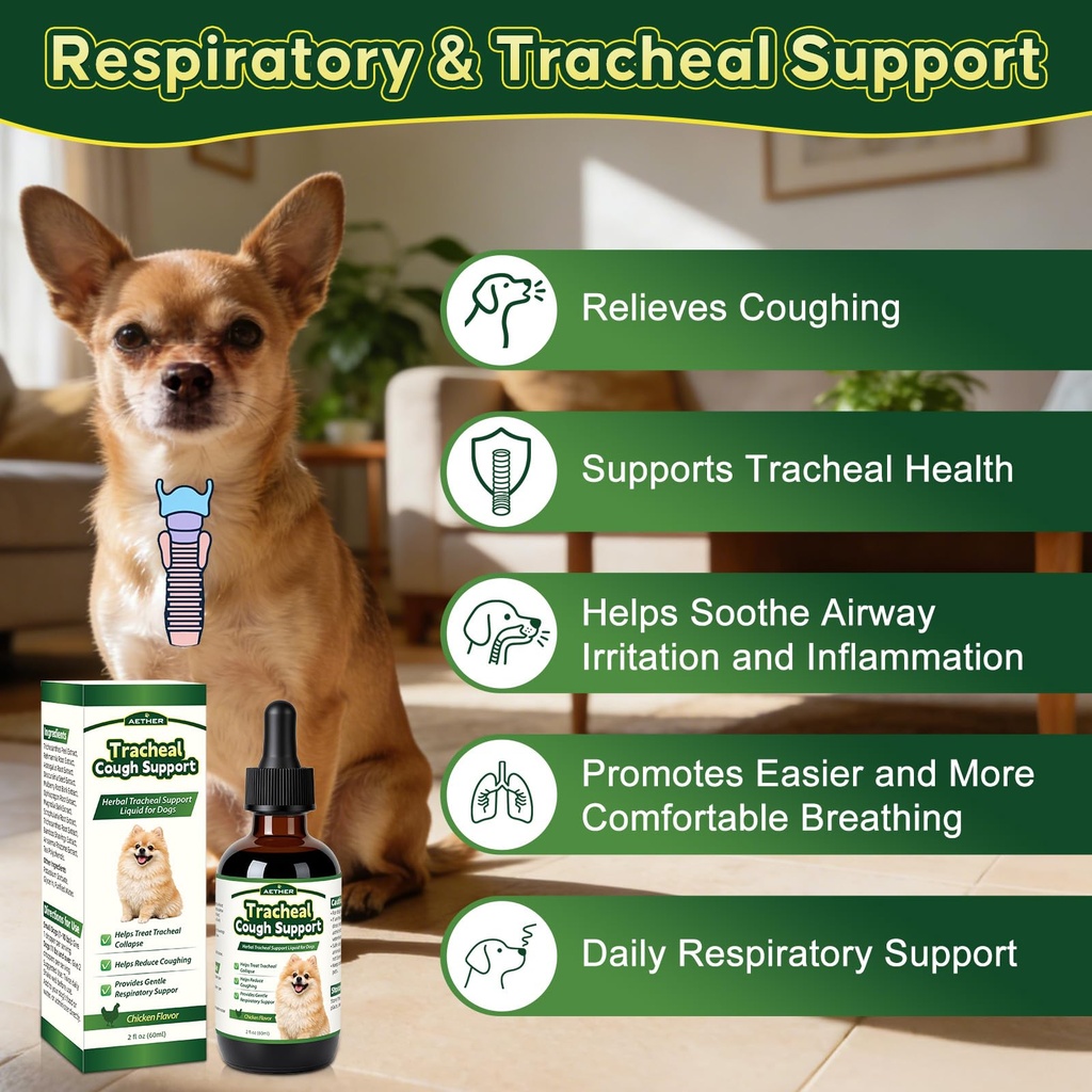 trachea-cough-elixir-collapsed-trachea-s-2.jpg
