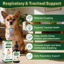 trachea-cough-elixir-collapsed-trachea-s-2.jpg