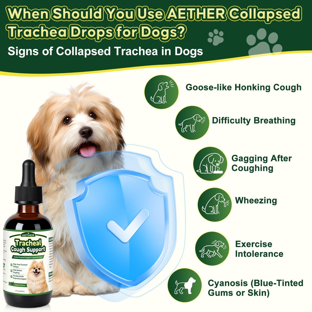 trachea-cough-elixir-collapsed-trachea-s-5.jpg