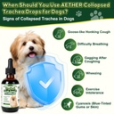 trachea-cough-elixir-collapsed-trachea-s-5.jpg