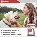 vitamin-b-for-dogs-vitamin-b-complex-for-5.jpg