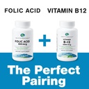 earth-s-splendor-folic-acid-800-mcg-supp-5.jpg