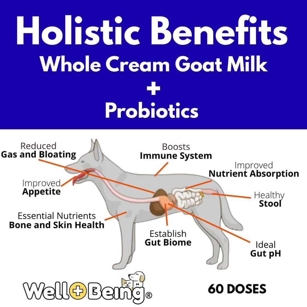 nature-s-diet-well-being-whole-cream-goa-2.jpg