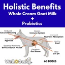 nature-s-diet-well-being-whole-cream-goa-2.jpg