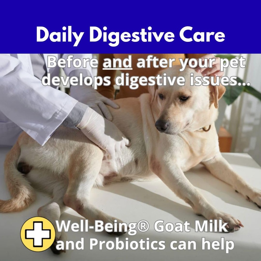 nature-s-diet-well-being-whole-cream-goa-3.jpg