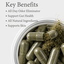 chlorophyll-capsule-pills-natural-body-d-3.jpg