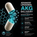 liposomal-akg-supplement-1000-mg-alpha-k-3.jpg