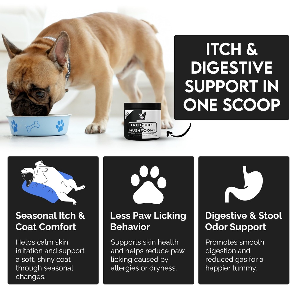frenchies-vs-mushrooms-turkey-tail-mushr-3.jpg