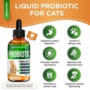 cat-probiotic-helps-with-colic-upset-sto-2.jpg
