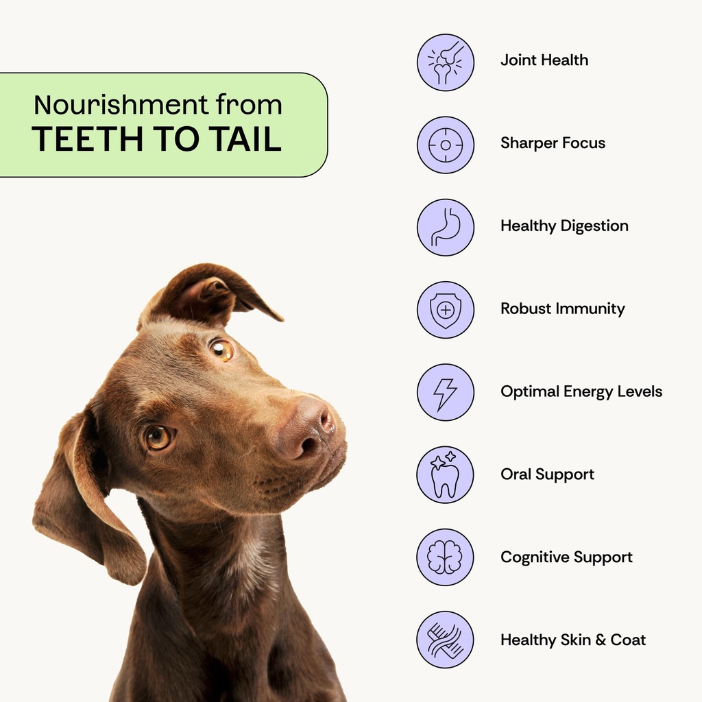 daily-probiotic-prebiotic-postbiotic-dog-2.jpg