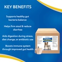 doc-roy-s-gi-synbiotics-probiotic-prebio-4.jpg