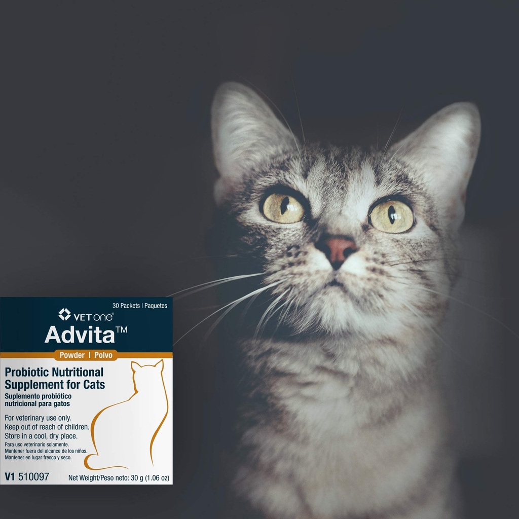 vetone-advita-probiotic-powder-for-cats--3.jpg