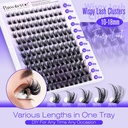 pawotence-lash-clusters-kit-wispy-lash-e-3.jpg